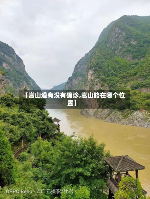 【嵩山道有没有确诊,嵩山路在哪个位置】