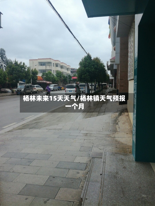 杨林未来15天天气/杨林镇天气预报一个月
