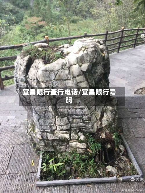 宜昌限行查行电话/宜昌限行号码