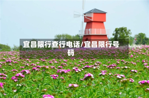 宜昌限行查行电话/宜昌限行号码