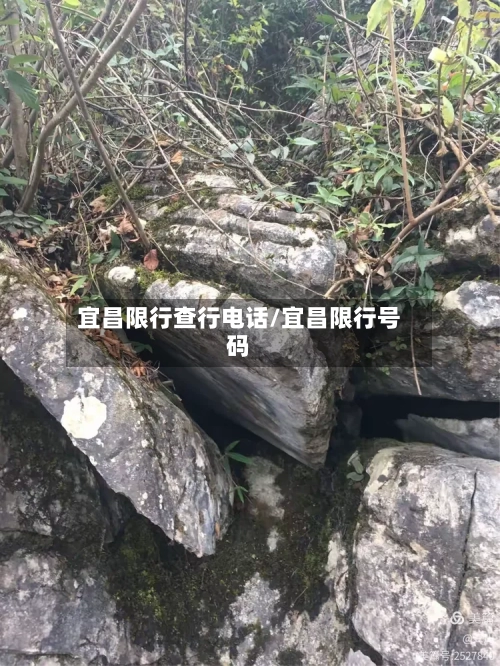 宜昌限行查行电话/宜昌限行号码