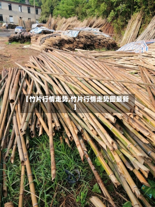 【竹片行情走势,竹片行情走势图最新】