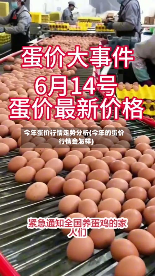 今年蛋价行情走势分析(今年的蛋价行情会怎样)