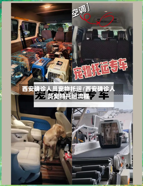 西安确诊人员宠物托运/西安确诊人员宠物托运流程
