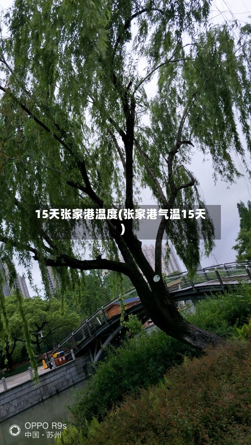 15天张家港温度(张家港气温15天)