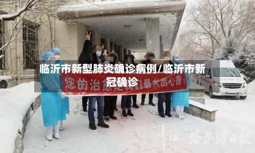临沂市新型肺炎确诊病例/临沂市新冠确诊