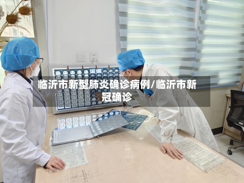 临沂市新型肺炎确诊病例/临沂市新冠确诊