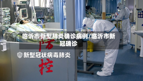 临沂市新型肺炎确诊病例/临沂市新冠确诊