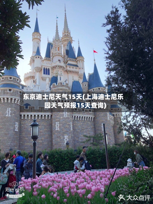 东京迪士尼天气15天(上海迪士尼乐园天气预报15天查询)