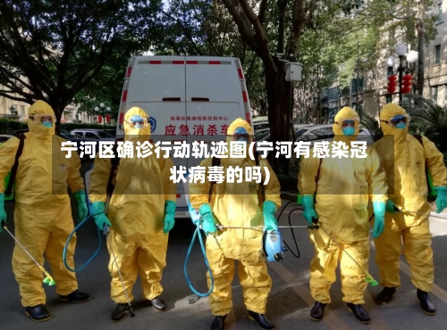 宁河区确诊行动轨迹图(宁河有感染冠状病毒的吗)