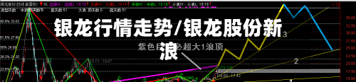 银龙行情走势/银龙股份新浪