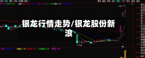 银龙行情走势/银龙股份新浪