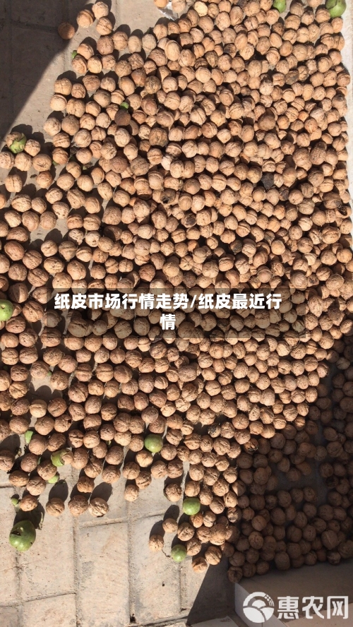 纸皮市场行情走势/纸皮最近行情