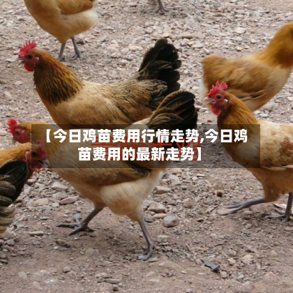 【今日鸡苗费用行情走势,今日鸡苗费用的最新走势】