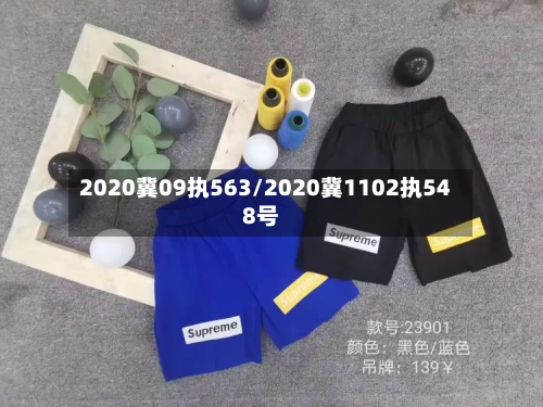 2020冀09执563/2020冀1102执548号