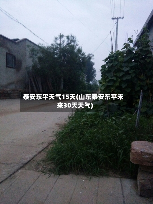 泰安东平天气15天(山东泰安东平未来30天天气)