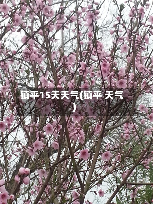 镇平15天天气(镇平 天气)