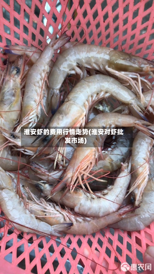 淮安虾的费用行情走势(淮安对虾批发市场)