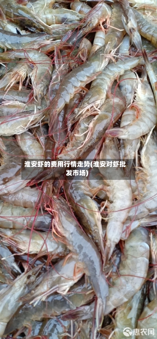 淮安虾的费用行情走势(淮安对虾批发市场)