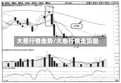 大葱行情走势/大葱行情走势图