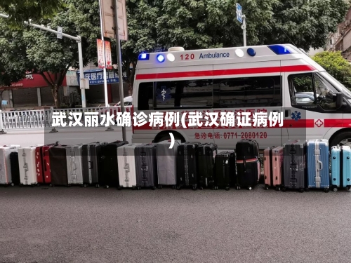 武汉丽水确诊病例(武汉确证病例)
