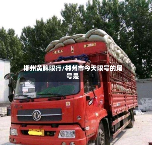 郴州黄牌限行/郴州市今天限号的尾号是
