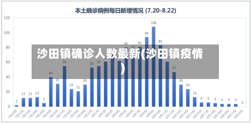 沙田镇确诊人数最新(沙田镇疫情)
