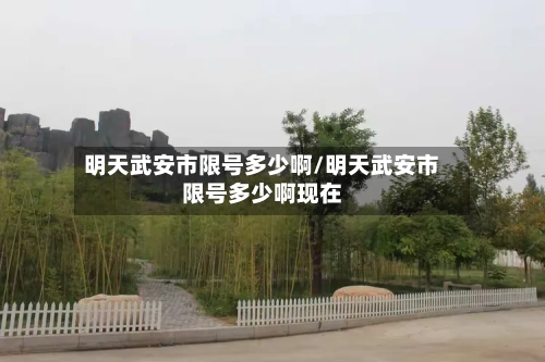 明天武安市限号多少啊/明天武安市限号多少啊现在