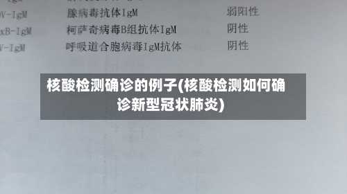 核酸检测确诊的例子(核酸检测如何确诊新型冠状肺炎)