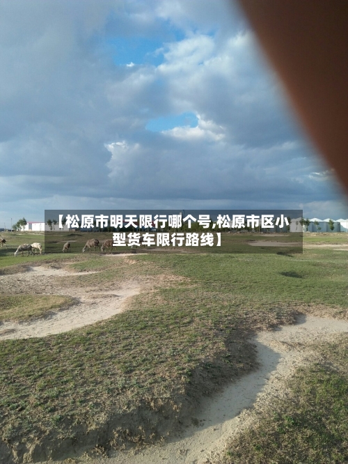 【松原市明天限行哪个号,松原市区小型货车限行路线】