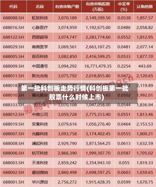 第一批科创板走势行情(科创板第一批股票什么时候上市)