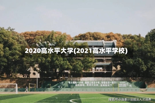 2020高水平大学(2021高水平学校)