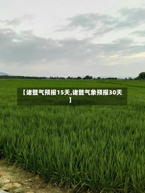 【诸暨气预报15天,诸暨气象预报30天】