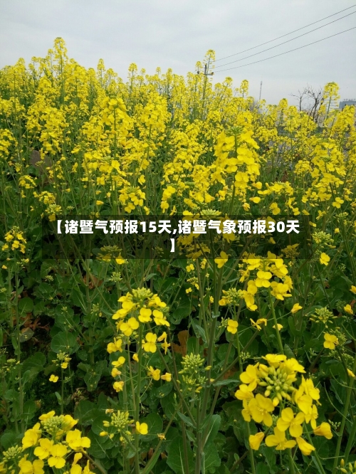 【诸暨气预报15天,诸暨气象预报30天】