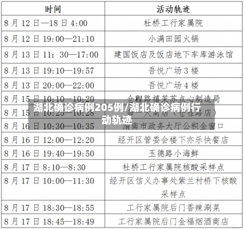 湖北确诊病例205例/湖北确诊病例行动轨迹