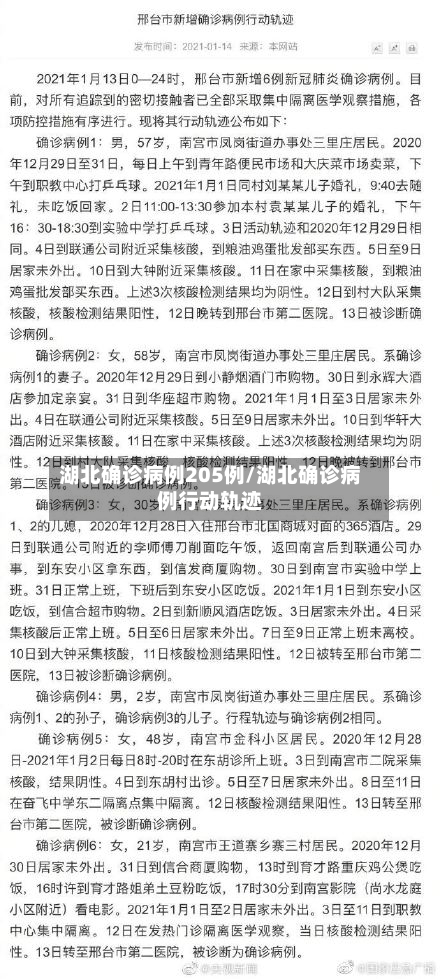湖北确诊病例205例/湖北确诊病例行动轨迹