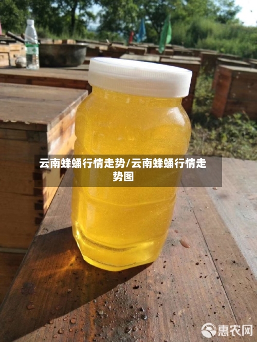 云南蜂蛹行情走势/云南蜂蛹行情走势图