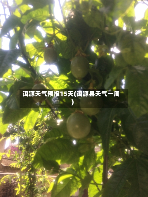 洱源天气预报15天(洱源县天气一周)