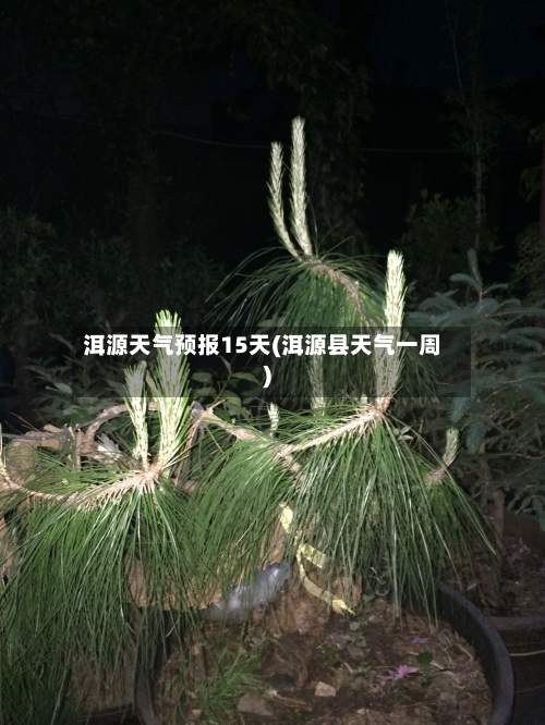 洱源天气预报15天(洱源县天气一周)