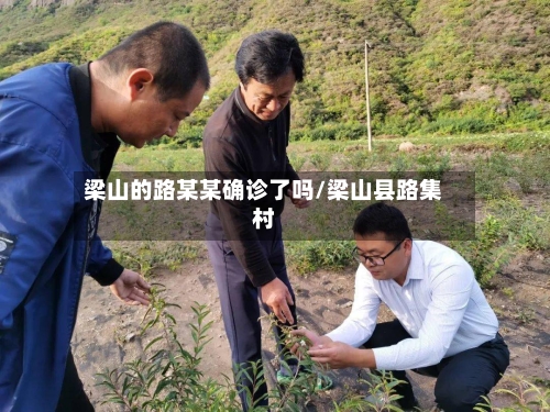梁山的路某某确诊了吗/梁山县路集村