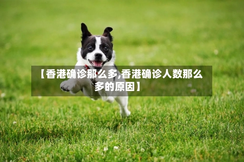 【香港确诊那么多,香港确诊人数那么多的原因】
