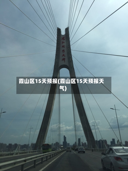 霞山区15天预报(霞山区15天预报天气)