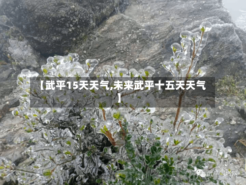 【武平15天天气,未来武平十五天天气】