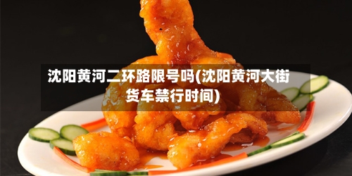 沈阳黄河二环路限号吗(沈阳黄河大街货车禁行时间)