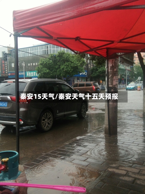 秦安15天气/秦安天气十五天预报