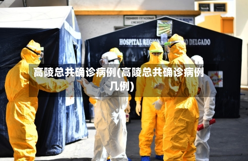 高陵总共确诊病例(高陵总共确诊病例几例)