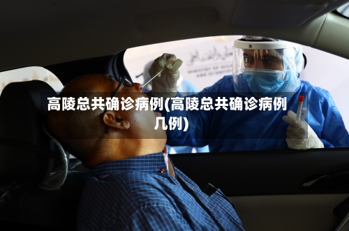 高陵总共确诊病例(高陵总共确诊病例几例)