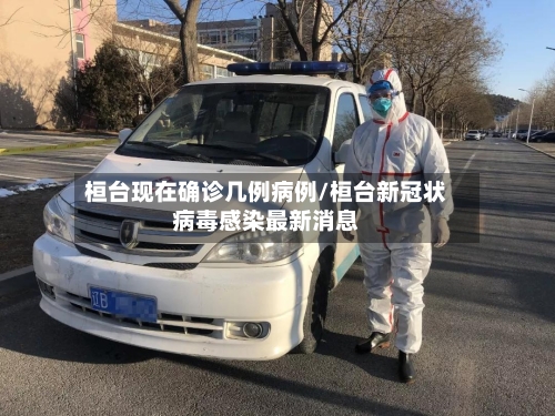 桓台现在确诊几例病例/桓台新冠状病毒感染最新消息