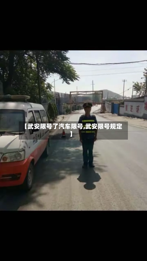 【武安限号了汽车限号,武安限号规定】