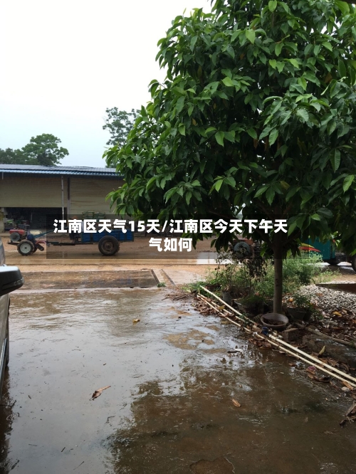 江南区天气15天/江南区今天下午天气如何